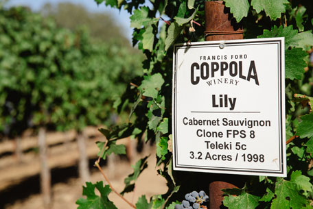 Francis Ford Coppola Winery