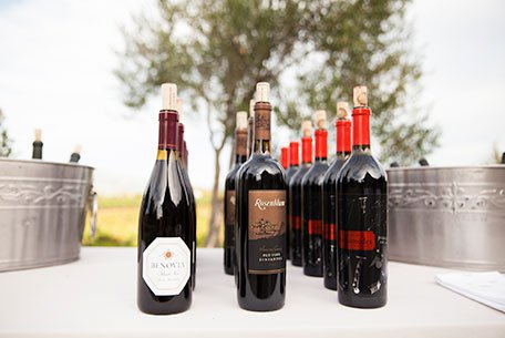 Francis Ford Coppola Winery