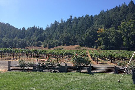 MacMurray Estate Vineyards