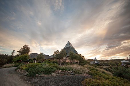Francis Ford Coppola Winery