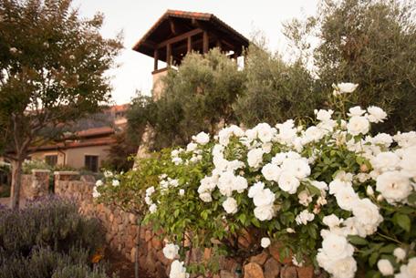 St. Francis Winery