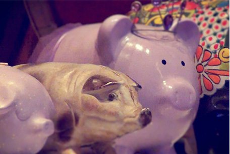Purple Pig