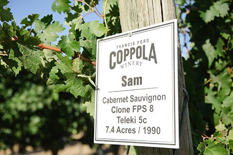 Francis Ford Coppola Winery
