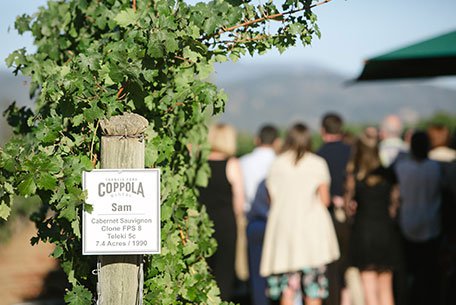 Francis Ford Coppola Winery