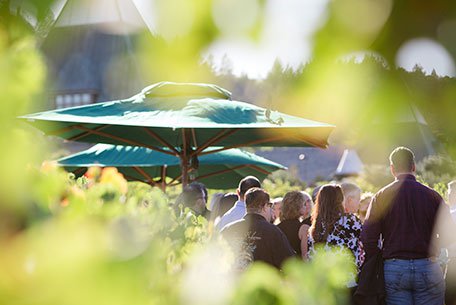 Francis Ford Coppola Winery