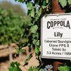 Francis Ford Coppola Winery