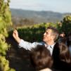 St. Francis Winery