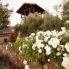 St. Francis Winery
