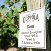 Francis Ford Coppola Winery