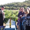 Francis Ford Coppola Winery